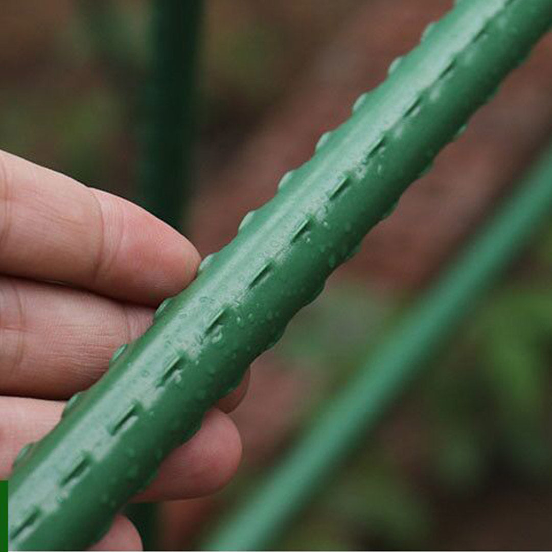 Edena | Plant Climbing Frame Trellis