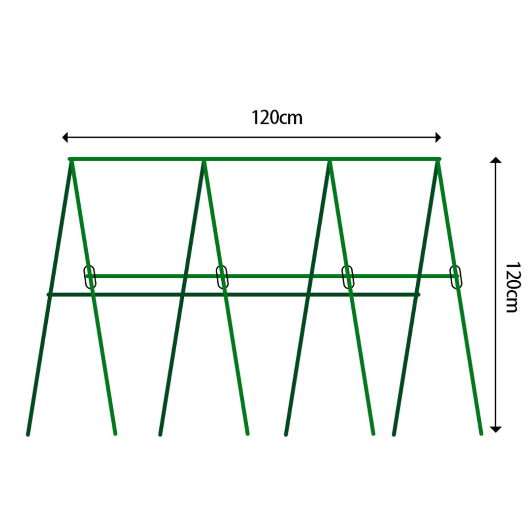Edena | Plant Climbing Frame Trellis