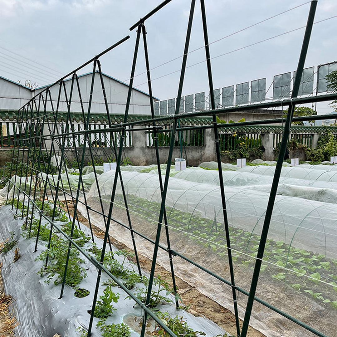 Edena | Plant Climbing Frame Trellis
