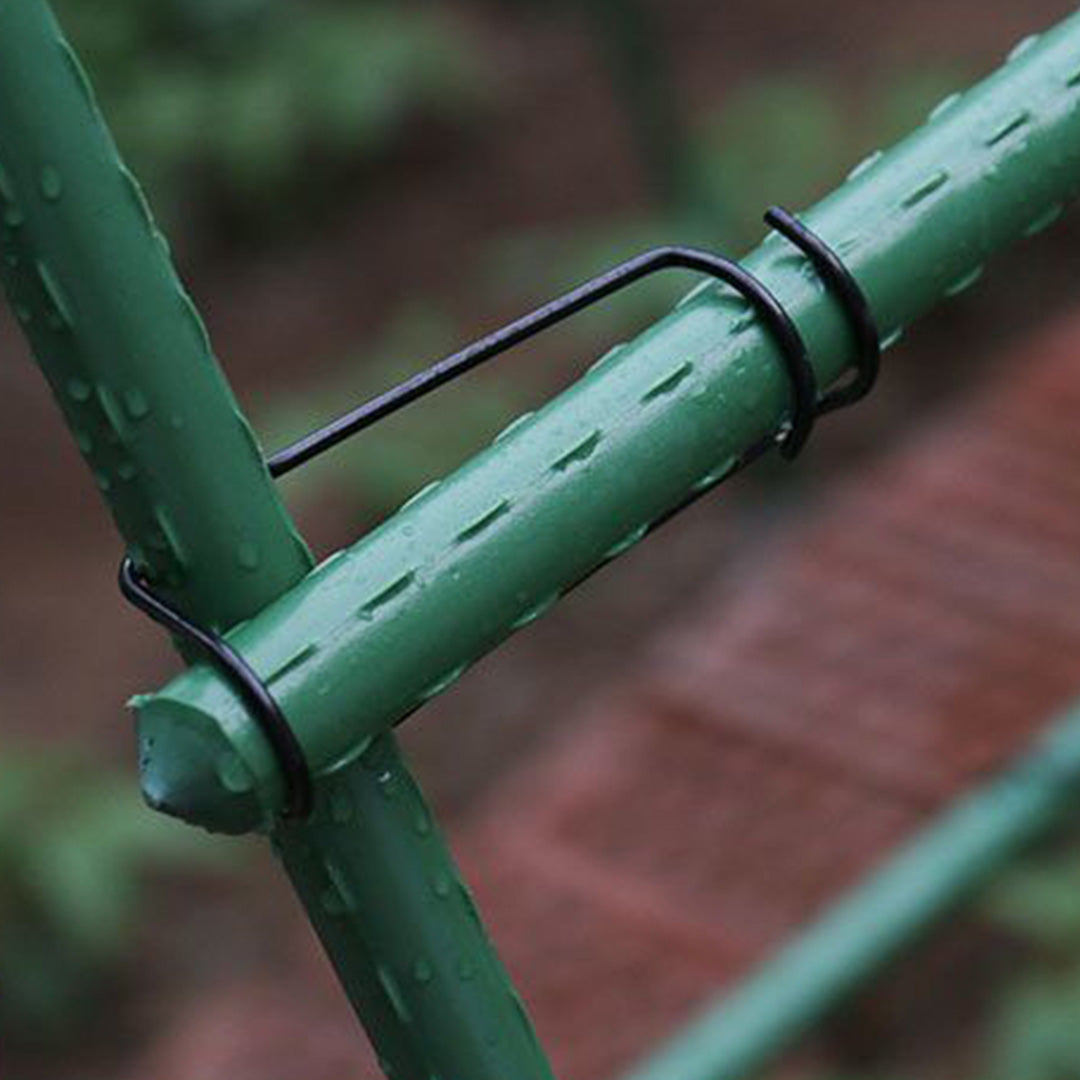 Edena | Plant Climbing Frame Trellis