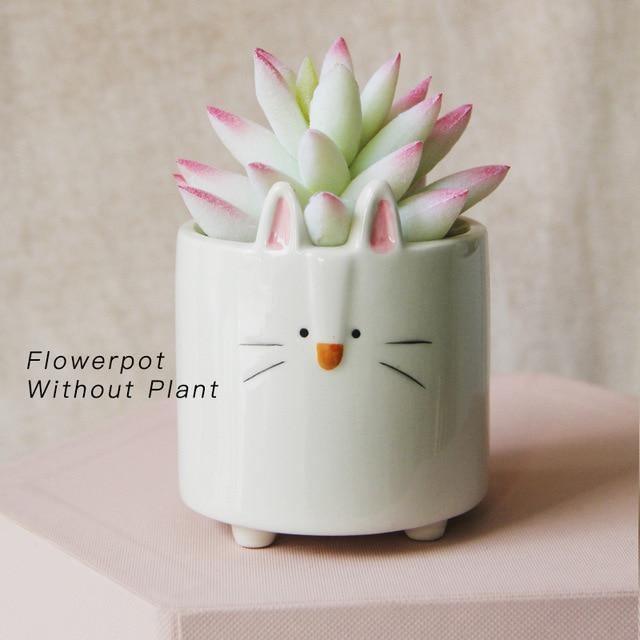 GeoCritters | Boxy Ceramic Plant Set