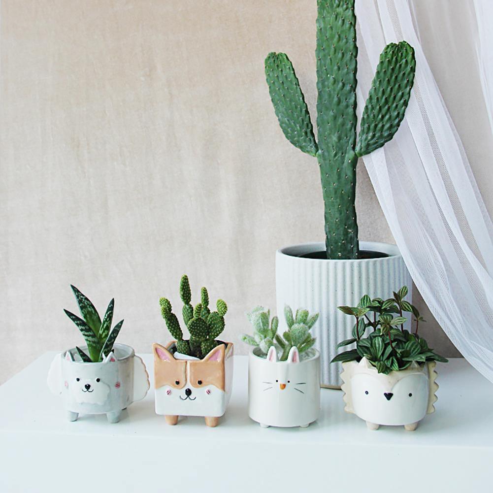 GeoCritters | Boxy Ceramic Plant Set