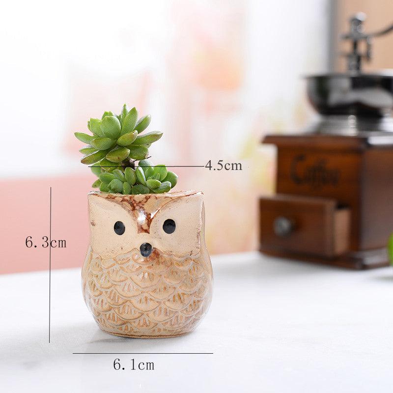 Hoot & Grow Mini Owl Pot Collection – Set of 6