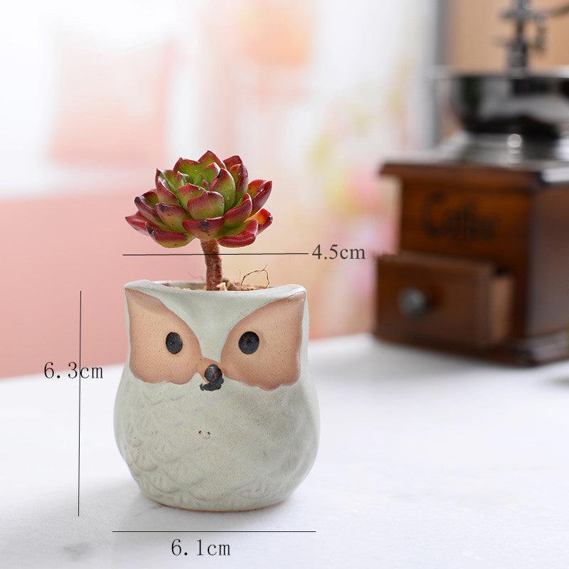 Hoot & Grow Mini Owl Pot Collection – Set of 6