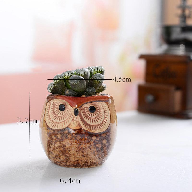 Hoot & Grow Mini Owl Pot Collection – Set of 6