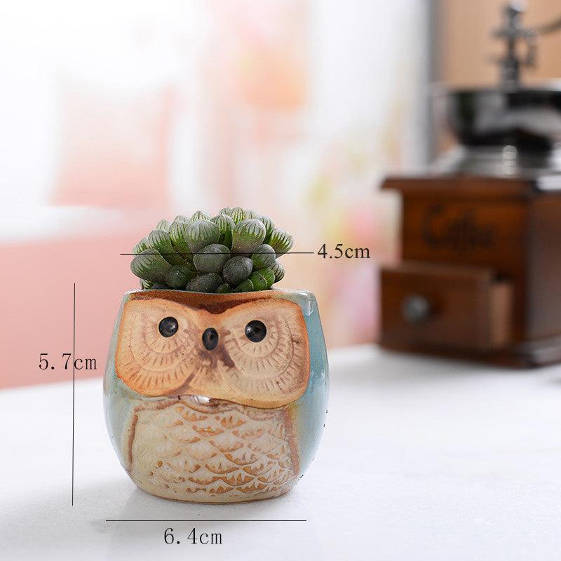 Hoot & Grow Mini Owl Pot Collection – Set of 6