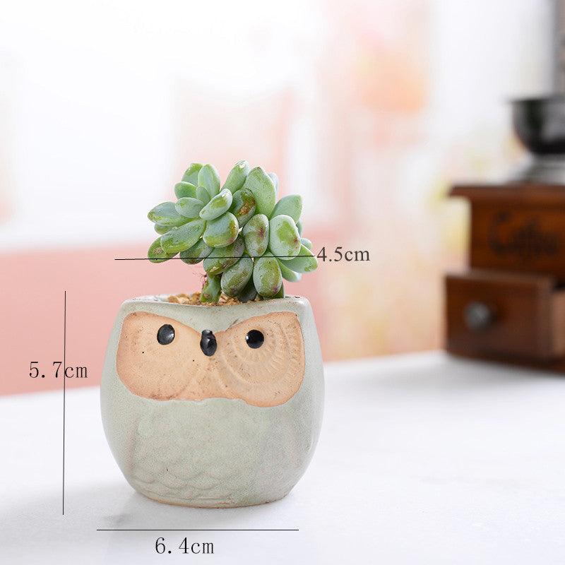 Hoot & Grow Mini Owl Pot Collection – Set of 6