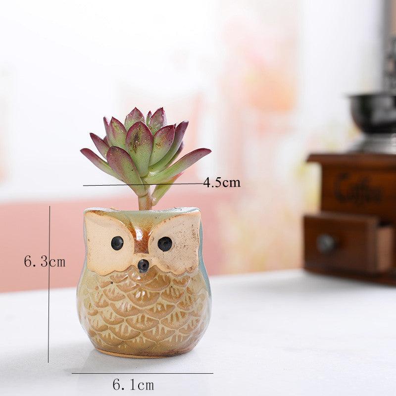 Hoot & Grow Mini Owl Pot Collection – Set of 6