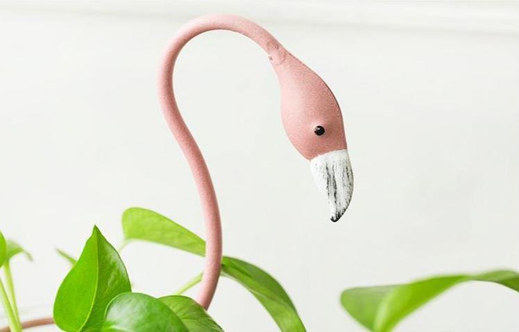 Isla | Tropical Flamingo Propagation Vase