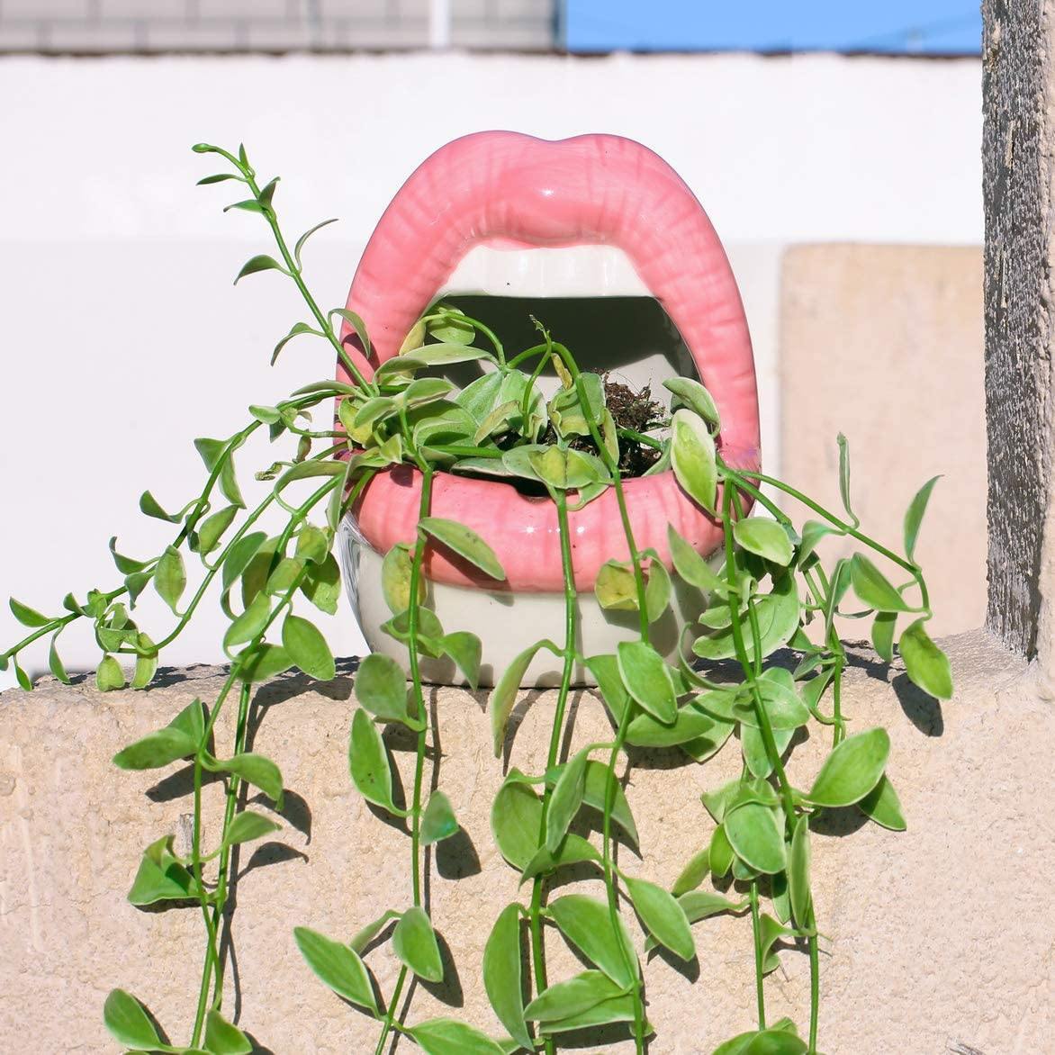 Kiss Me Lips Ceramic Plant Holder