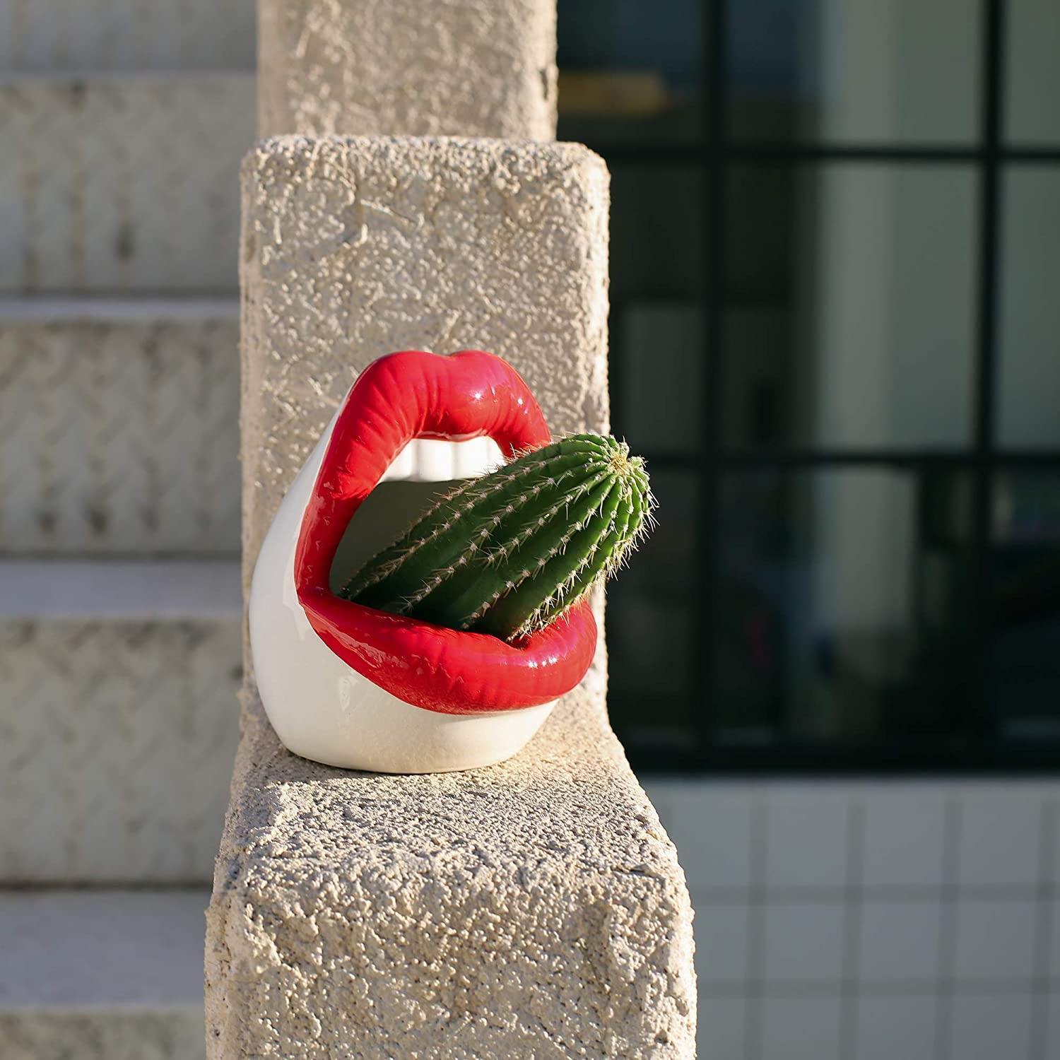 Kiss Me Lips Ceramic Plant Holder
