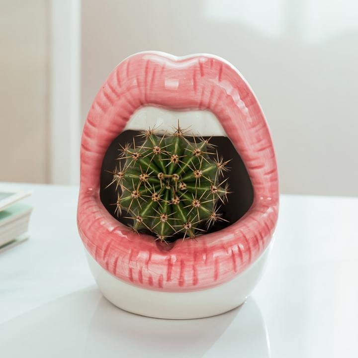 Kiss Me Lips Ceramic Plant Holder