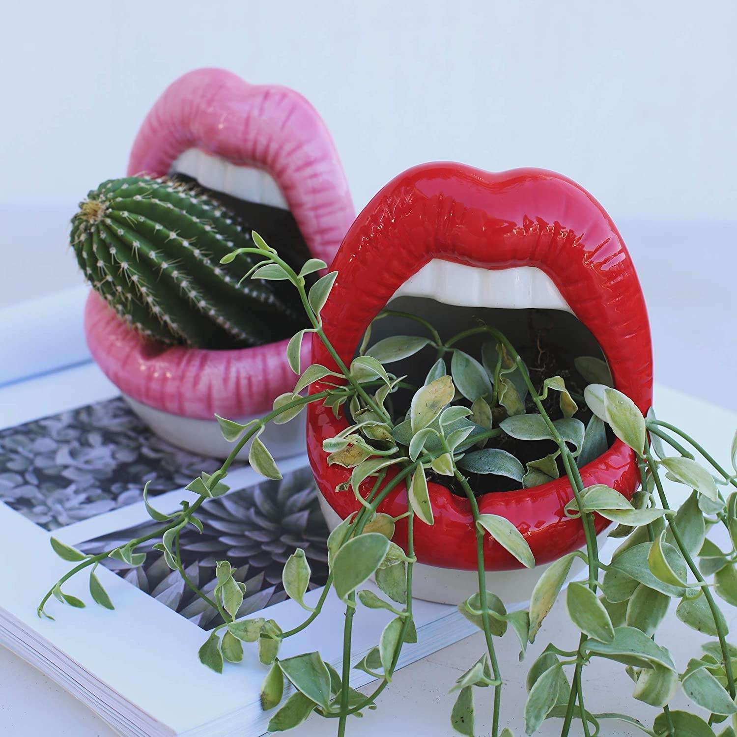 Kiss Me Lips Ceramic Plant Holder