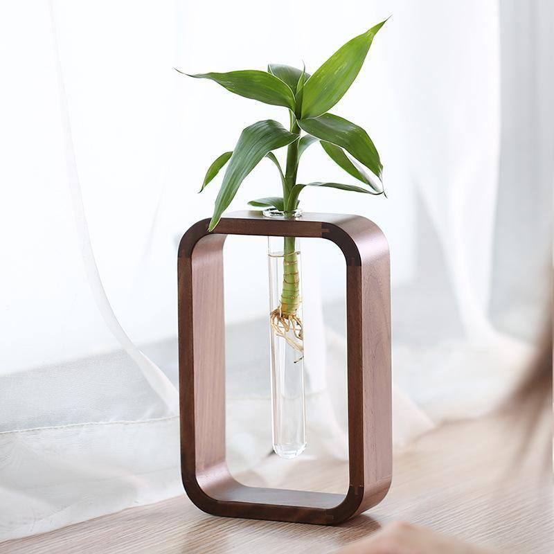 Maren | Wood & Glass Propagation Station