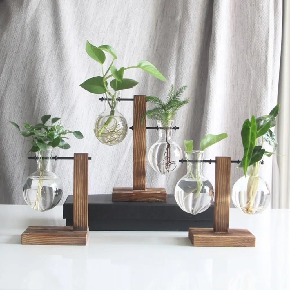 Nico | Glass Propagation Vase With Vertical Wooden Stand