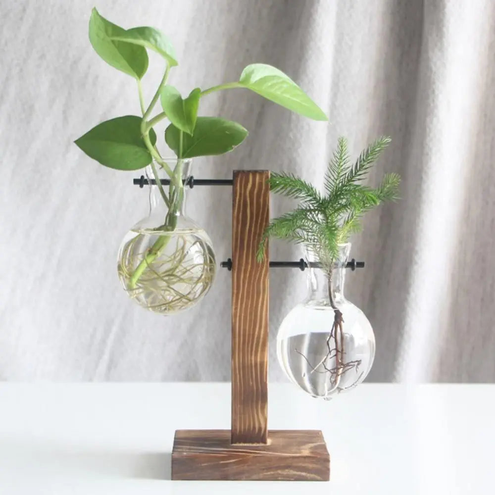 Nico | Glass Propagation Vase With Vertical Wooden Stand