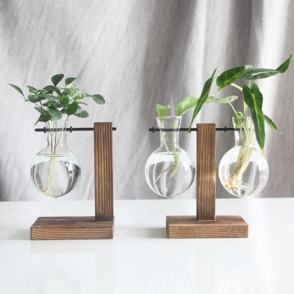 Nico | Glass Propagation Vase With Vertical Wooden Stand