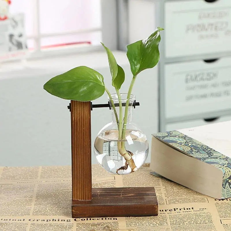 Nico | Glass Propagation Vase With Vertical Wooden Stand
