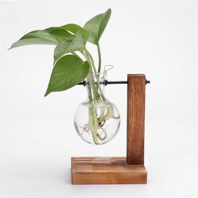 Nico | Glass Propagation Vase With Vertical Wooden Stand