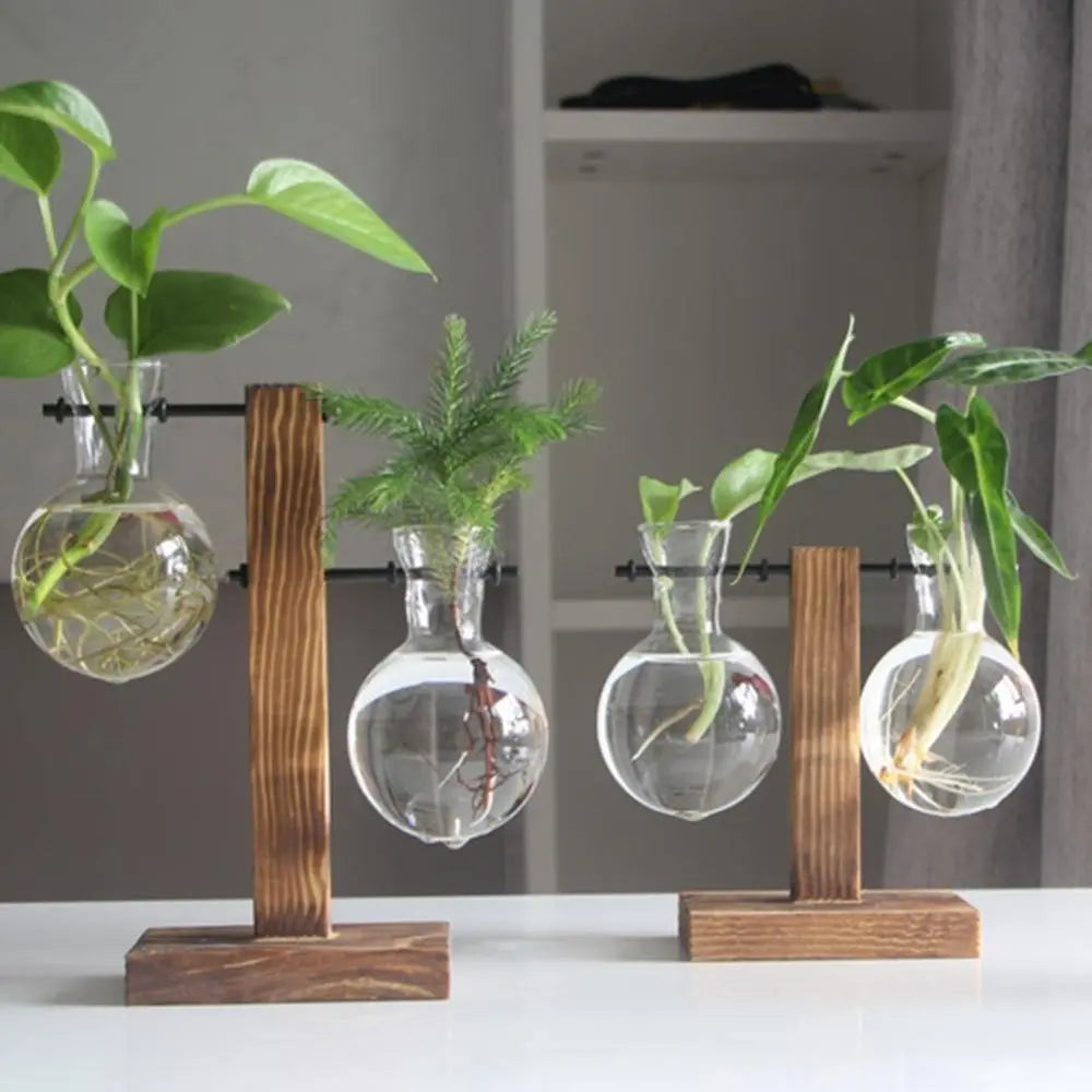 Nico | Glass Propagation Vase With Vertical Wooden Stand