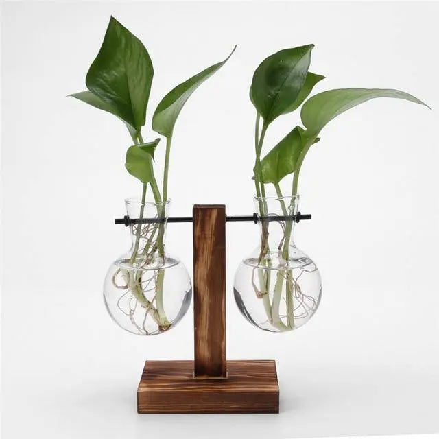 Nico | Glass Propagation Vase With Vertical Wooden Stand