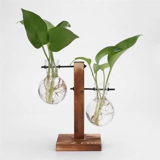Nico | Glass Propagation Vase With Vertical Wooden Stand