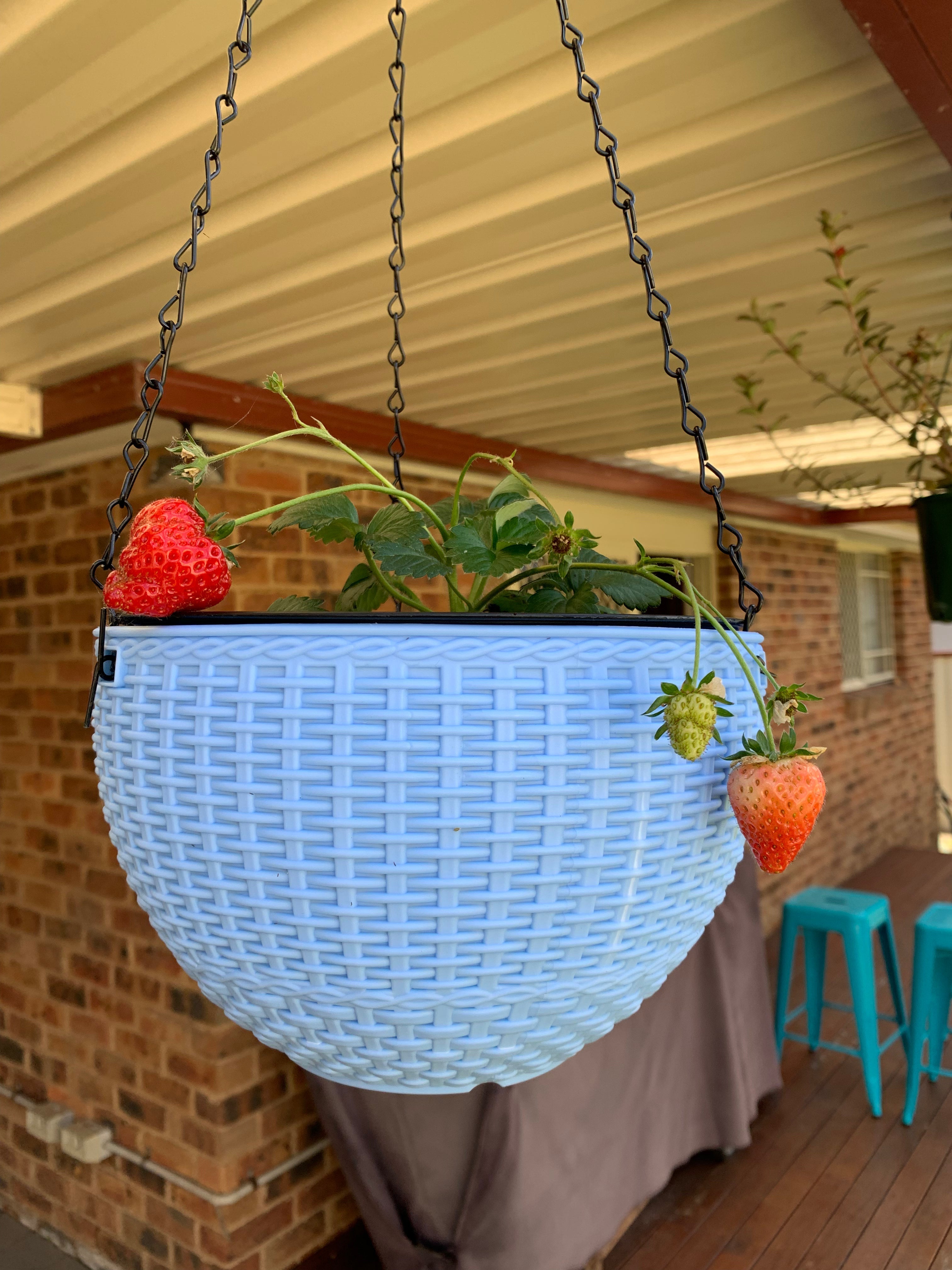 Nova | Hanging Garden Pots Set 2-Pack