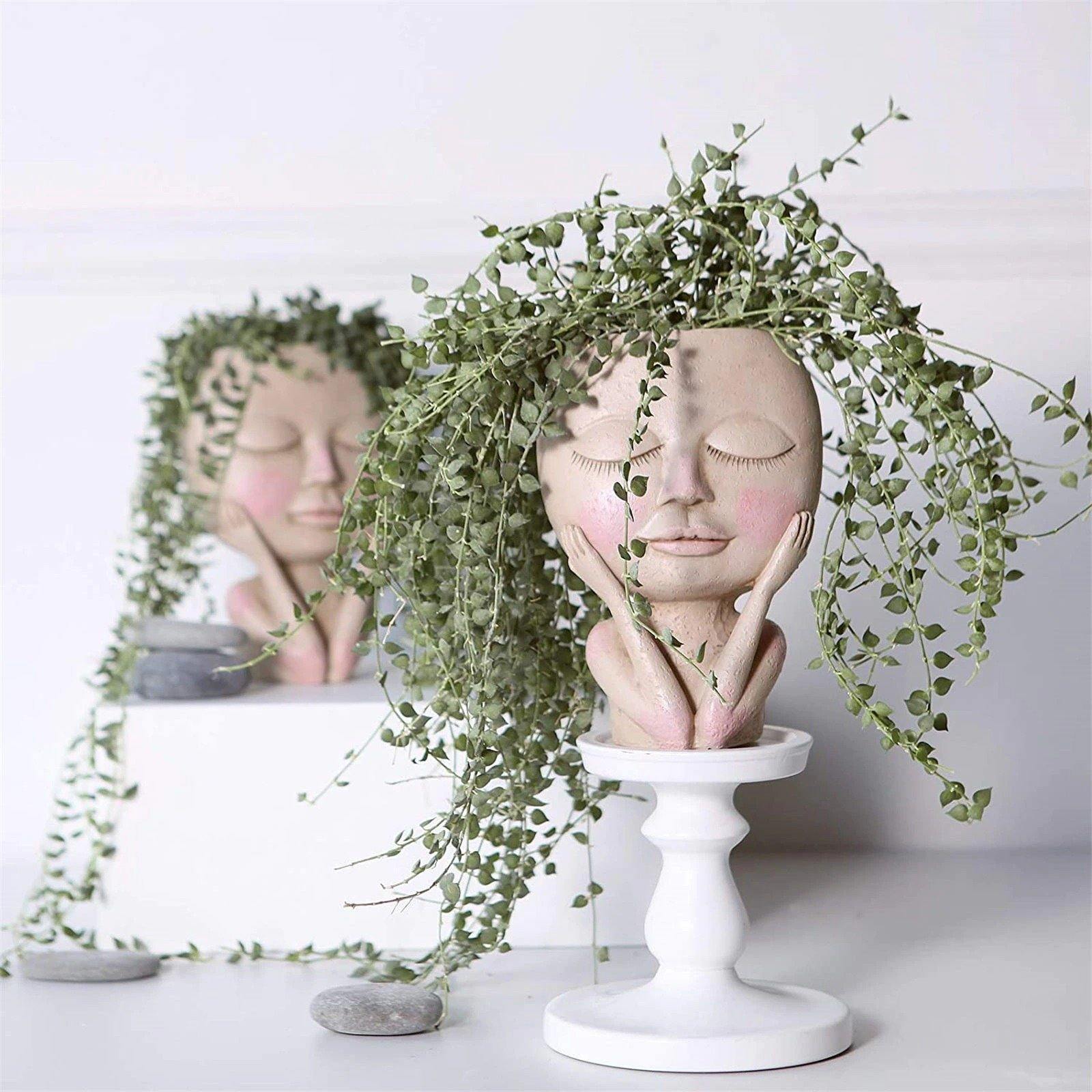 Rosy Glow Blushing Face Planter