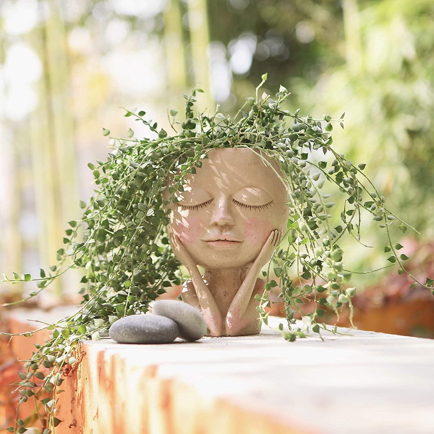 Rosy Glow Blushing Face Planter