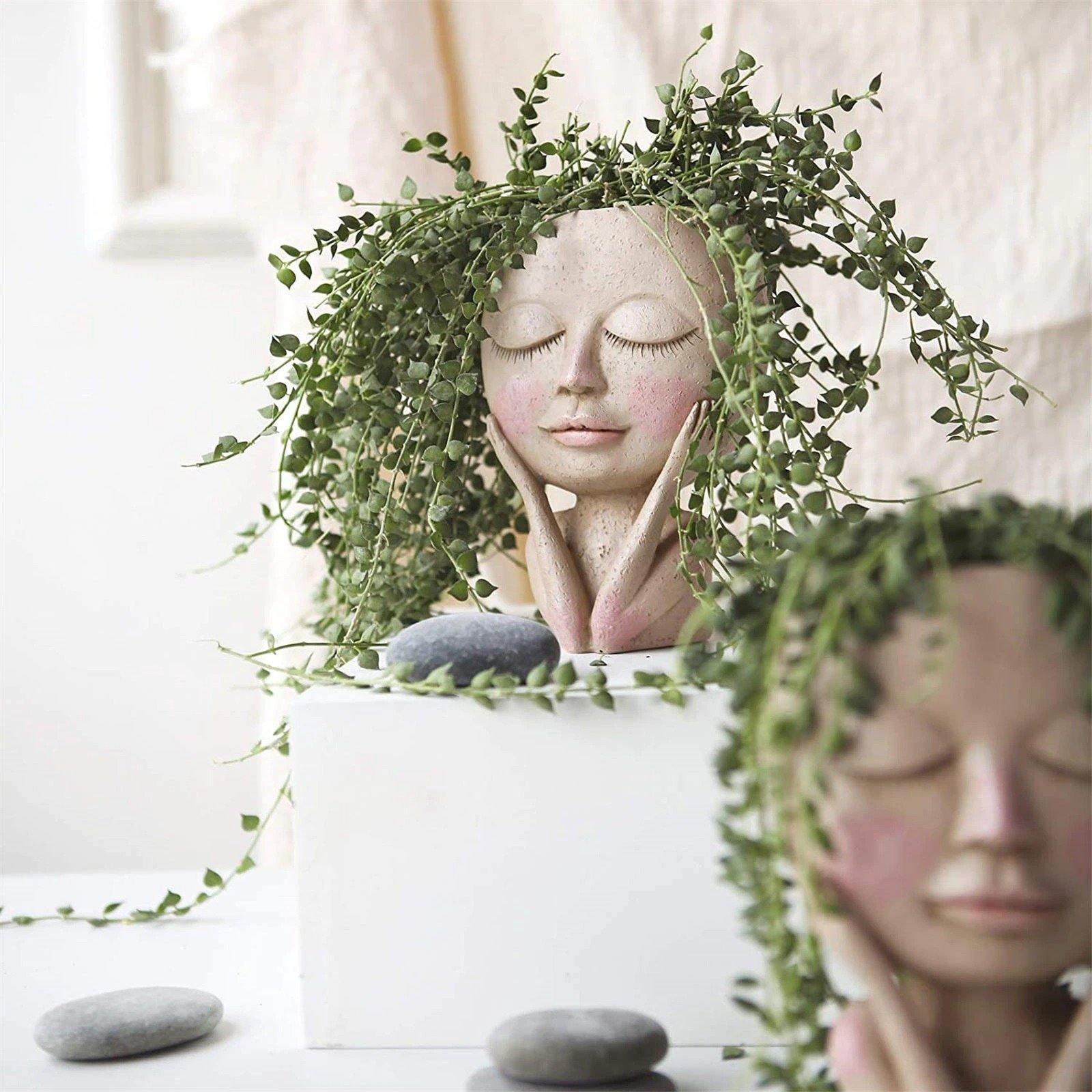 Rosy Glow Blushing Face Planter