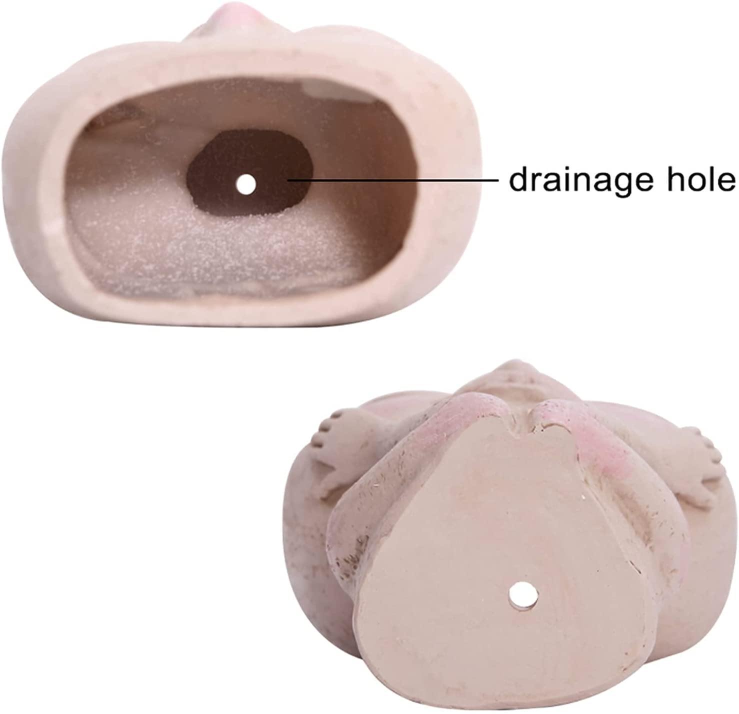 Rosy Glow Blushing Face Planter