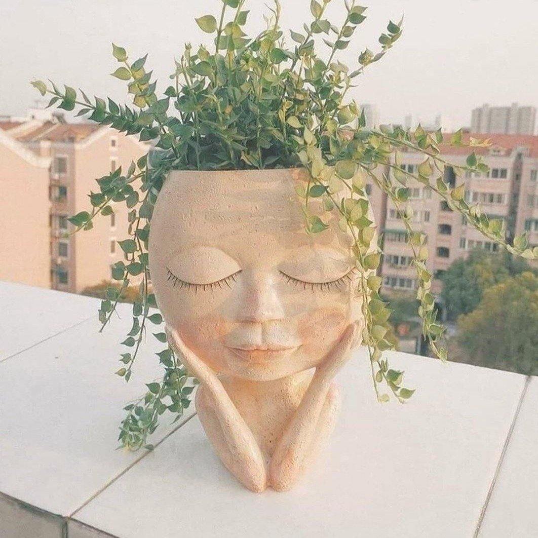 Rosy Glow Blushing Face Planter