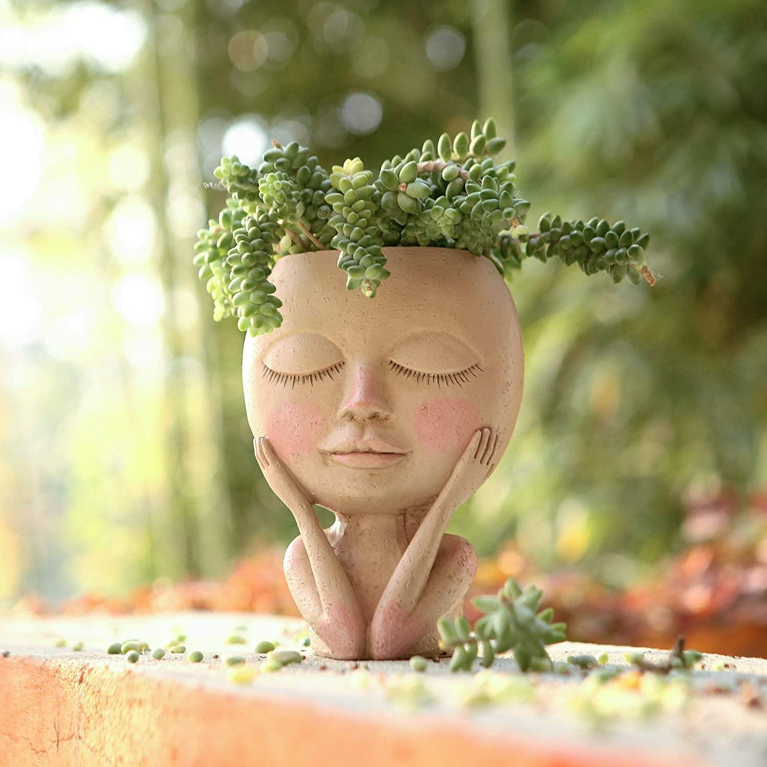 Rosy Glow Blushing Face Planter