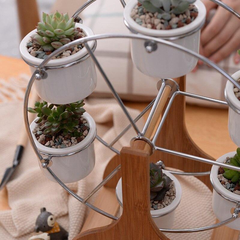 Rustic Carousel Succulent Planter Display