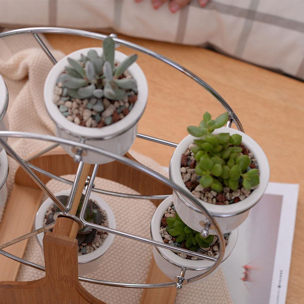 Rustic Carousel Succulent Planter Display