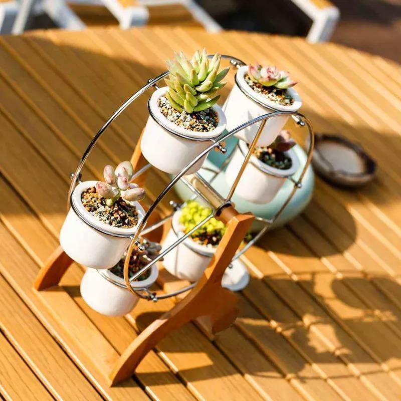 Rustic Carousel Succulent Planter Display