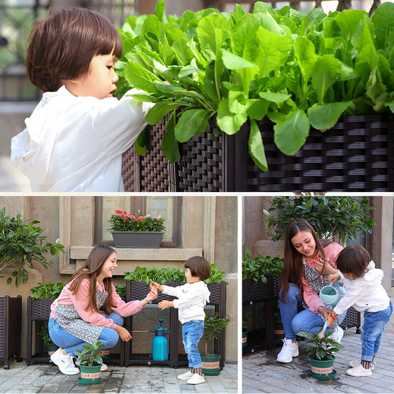 Viera | Multifunctional Vegetable Planter Box
