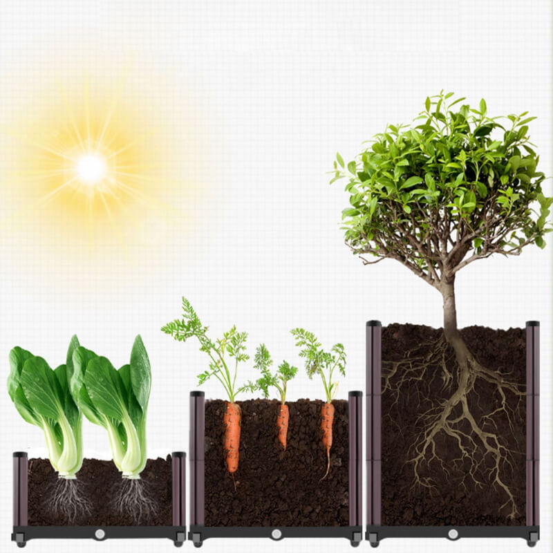 Viera | Multifunctional Vegetable Planter Box