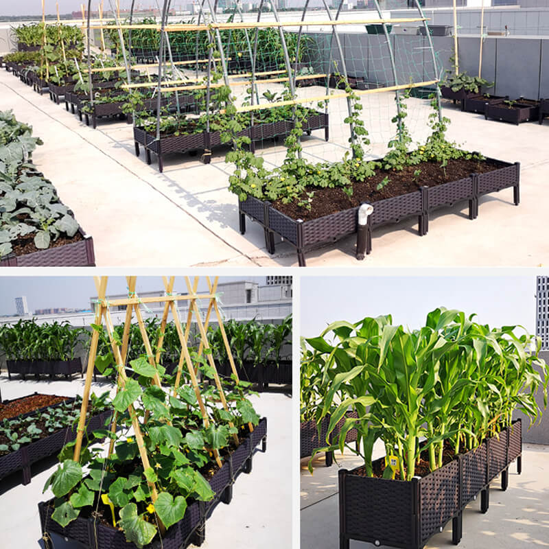 Viera | Multifunctional Vegetable Planter Box