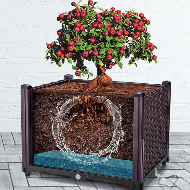 Viera | Multifunctional Vegetable Planter Box