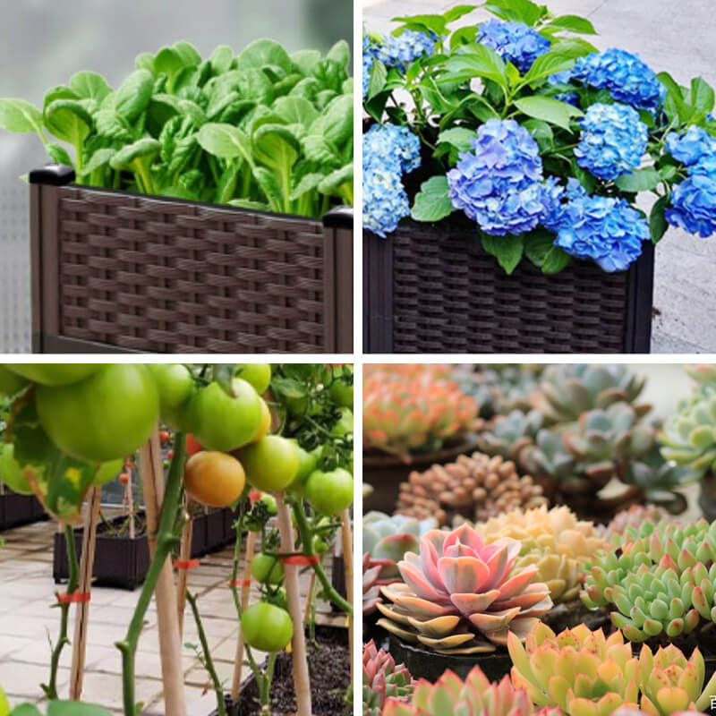 Viera | Multifunctional Vegetable Planter Box