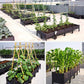 Viera | Multifunctional Vegetable Planter Box